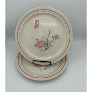 Vintage Xiangtangpai Dinner Plates Set of 2 Pink Purple Green